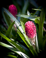 Blog thumbnails